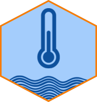 Thermometer Icon 